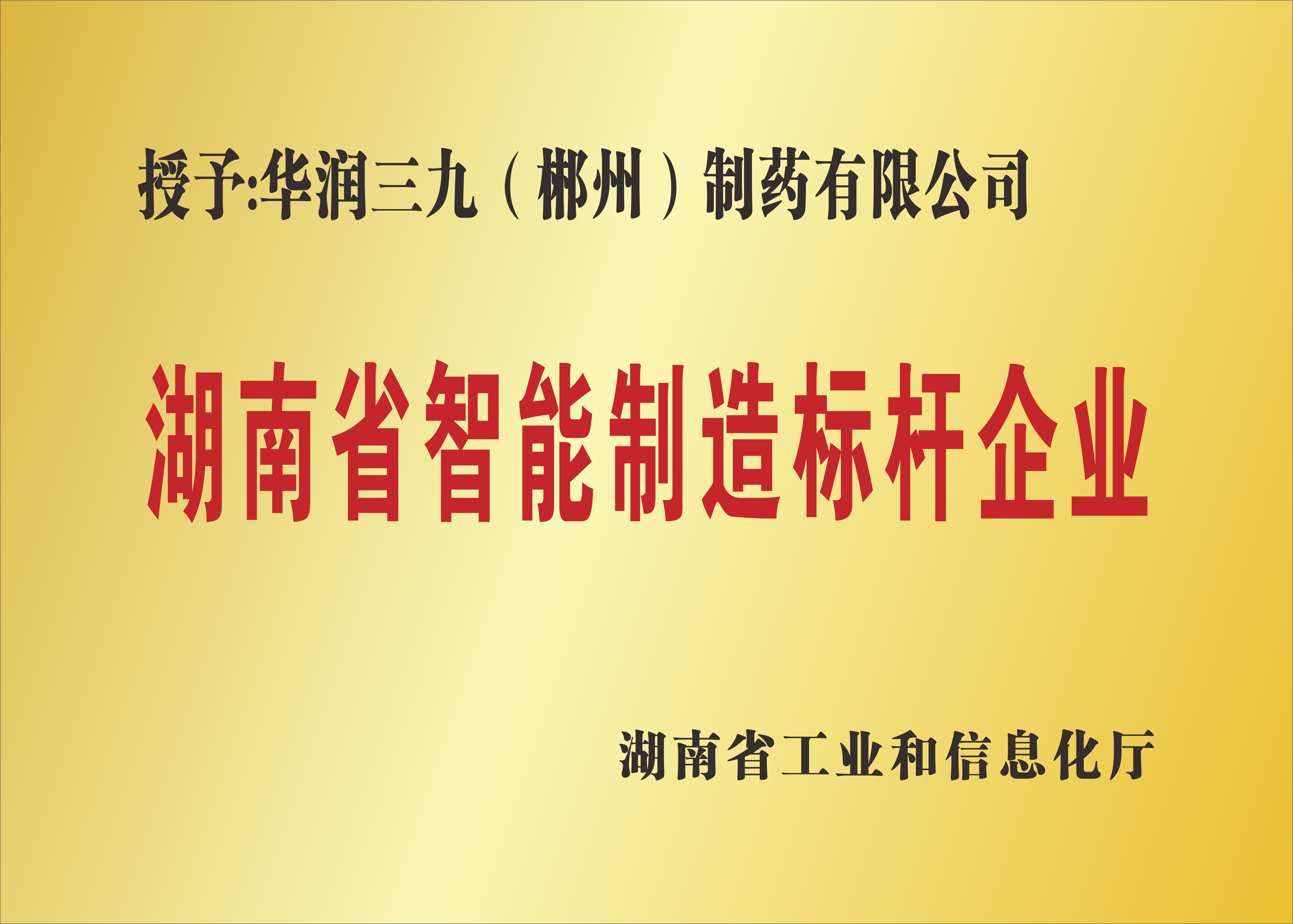 湖南省智能制造標(biāo)桿企業(yè) 湖南省智能制造標(biāo)桿企業(yè).jpg